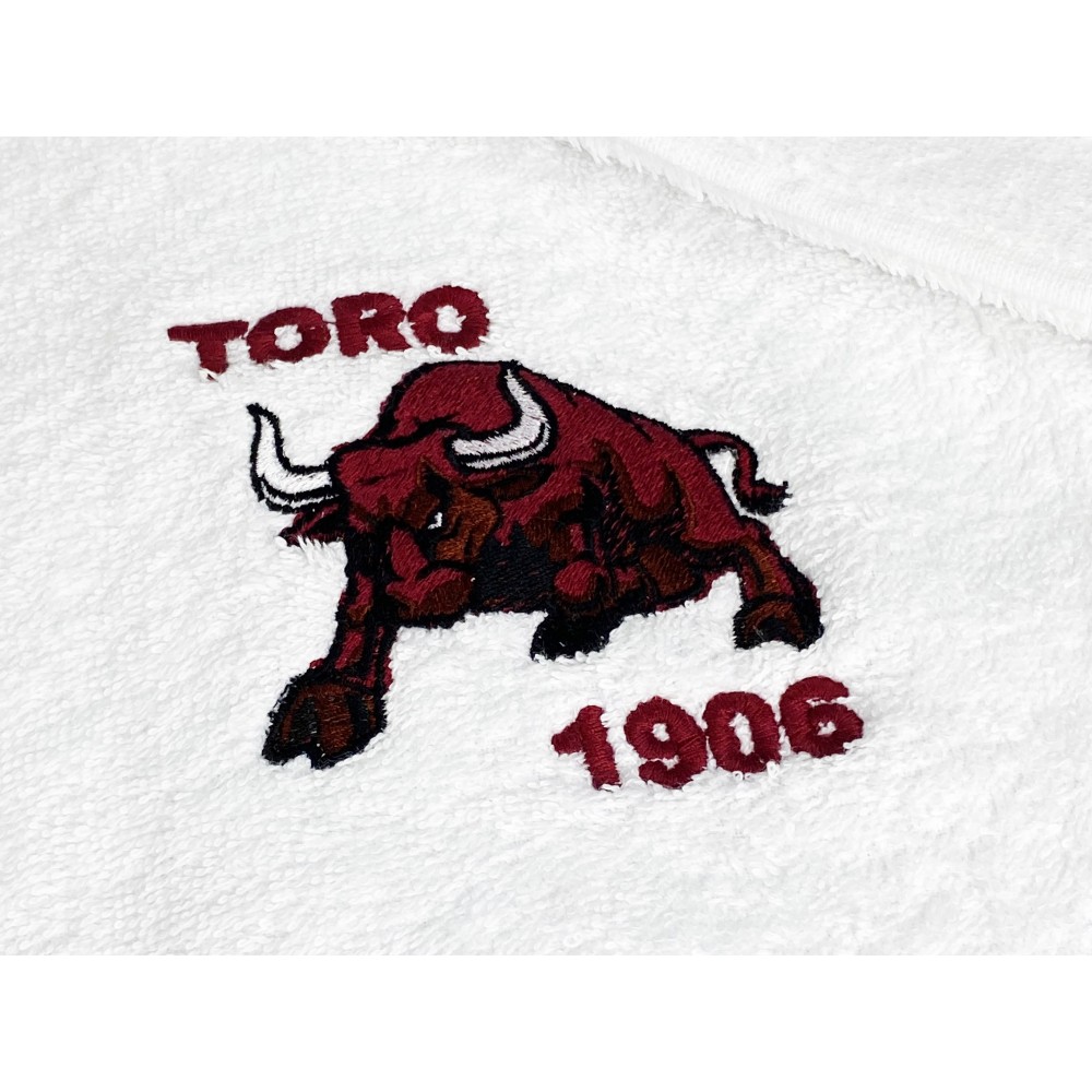 PAAR BESTICKTE HANDTÜCHER TAURUS 1906 und Postkarte TORINO IS
