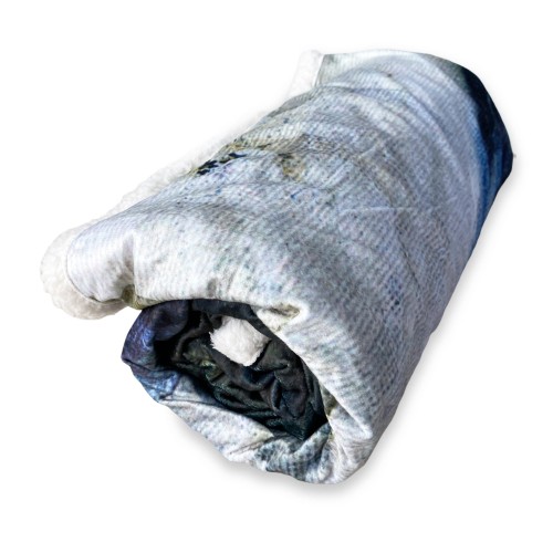 PLAID coperta IN PILE SHERPA fantasy HD Dipinto DONNA Isabel oro