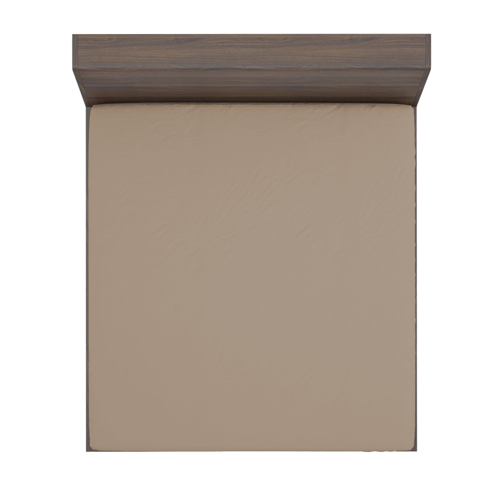 feuille de coins de noisette
