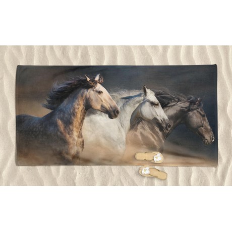 SERVIETTE DE PLAGE en éponge I TRE CAVALLI mesure un grand cm. 90 x 170 2