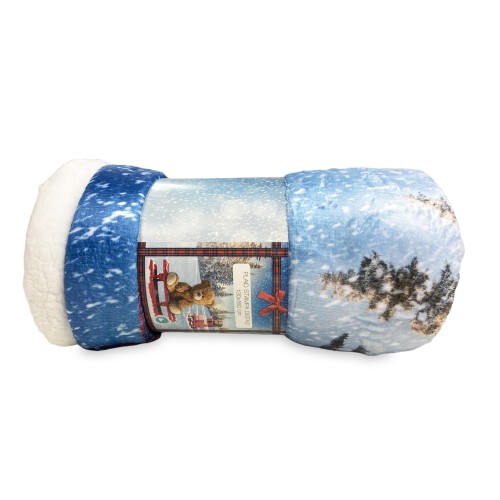 PLAID Decke FLEECE SHERPA DIGITALER FOTOGRAFISCHER SCHLITTEN Teddybär