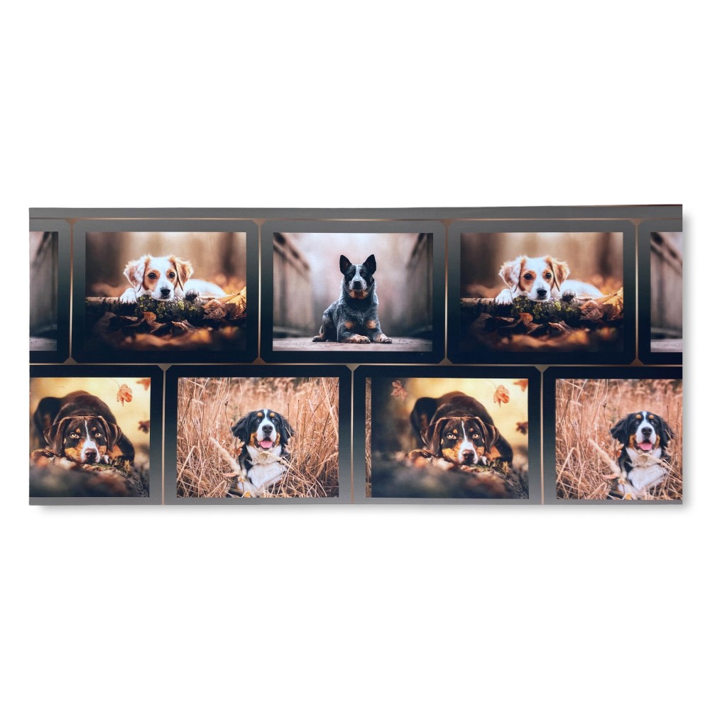 ALFOMBRA Corredor de cocina Corredor antideslizante PERRO Perros Made in Italy