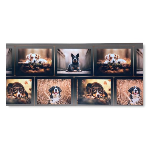 CARPET Runner Cuisine Runner Anti-dérapant DOG Chiens Made in Italy