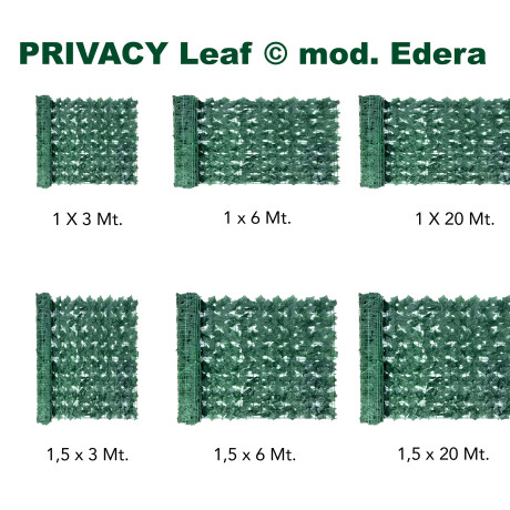 siepe finta modello edera, idele per la tua privacy 2