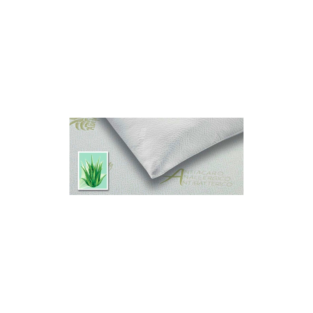 HYPOALLERGENIC ANTI-MITE PILLOWCASE ALOE VERA BIONATURAL