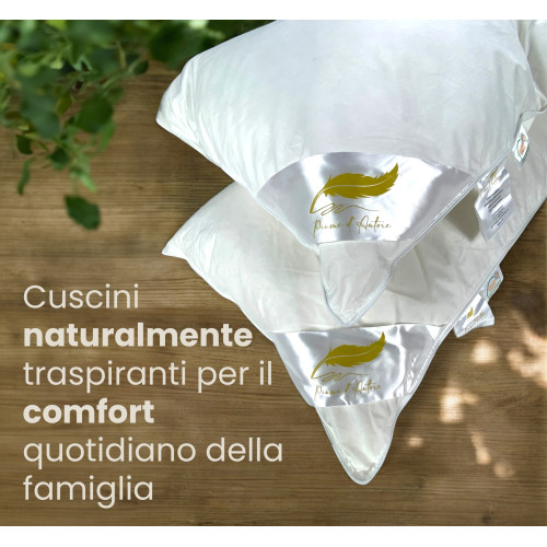 Signature Feather Pillows: almohadas suaves y cómodas de 50x80 para un descanso regenerador 😴
