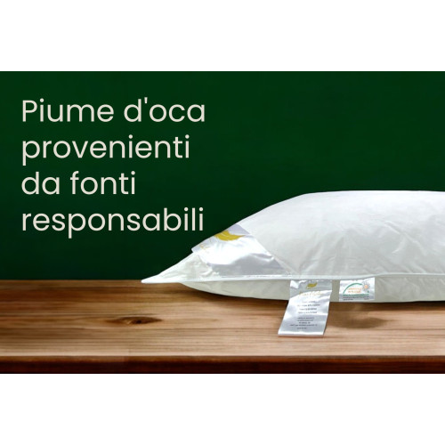 Cuscino Letto Matrimoniale in Piuma d’Oca 50x80 cm | Ergonomico e Ipoallergenico