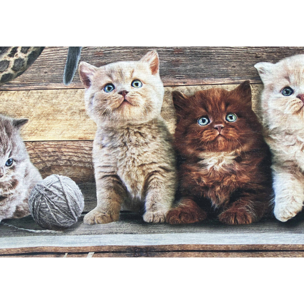 Katzendecke Läufer – Läufer Rutschfest, waschbar, Made in Italy