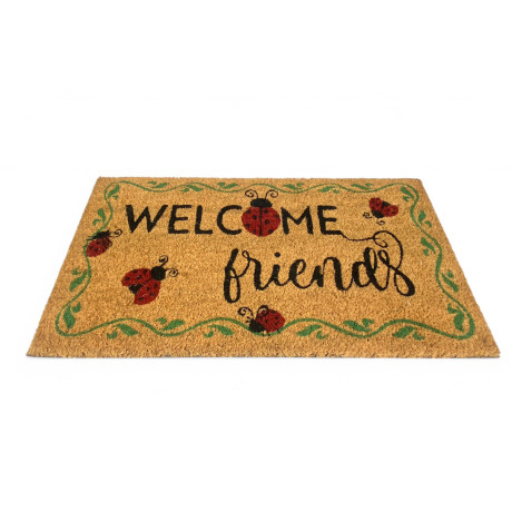 Outdoor-Eingangsteppich aus Kokosnuss - Welcome Fußmatte mit Marienkäfern - rutschfest 40x70 cm 2