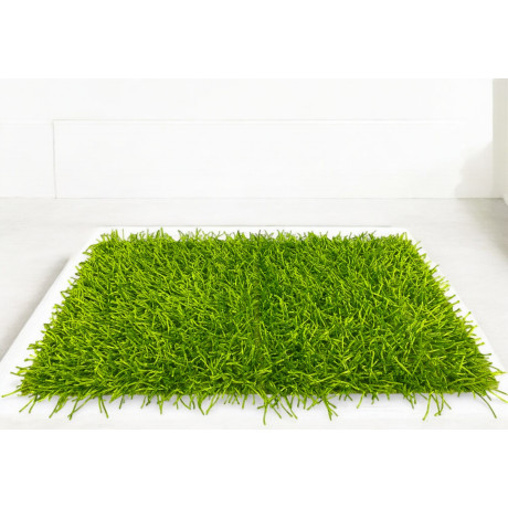 Tappeto Shaggy Verde – Pelo 6 cm, Antiscivolo, Morbido – 12 Misure 2