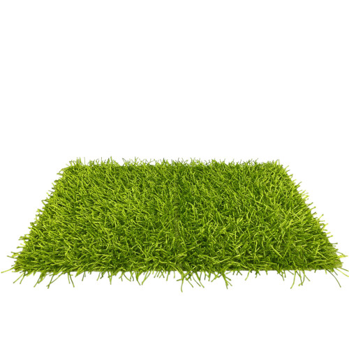 Tapis Shaggy Vert – Velours 6 cm, Antidérapant, Doux – 12 Tailles
