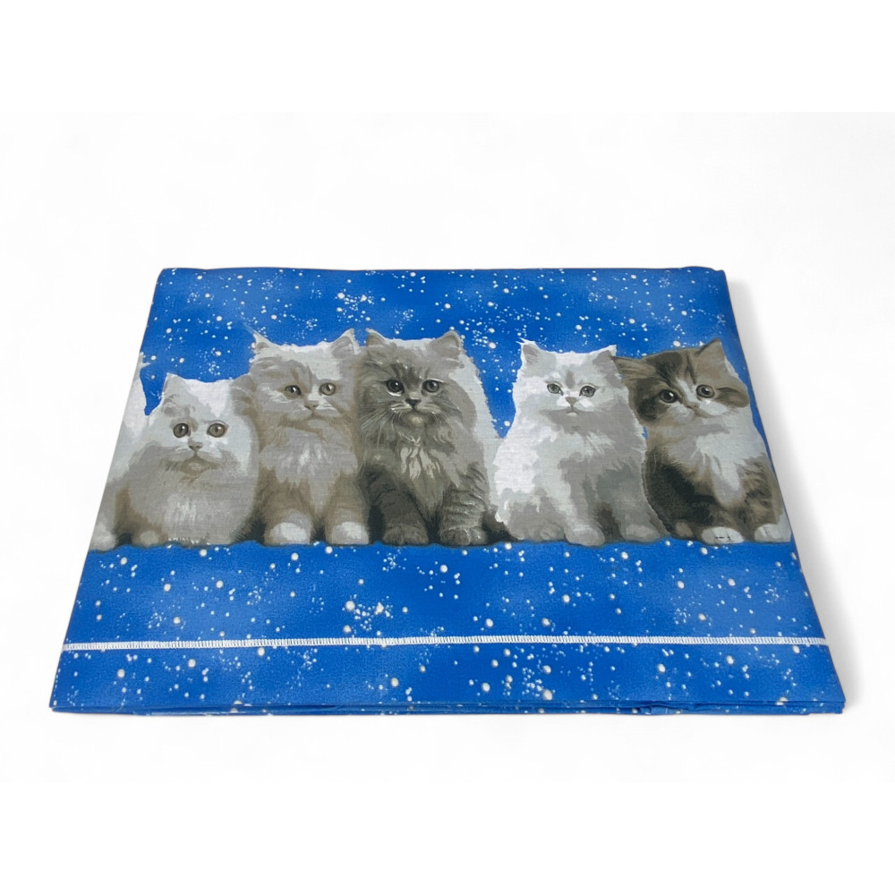 Conjunto de hojas realistas de gatitos sobre fondo azul cielo - dobladas por paquete
