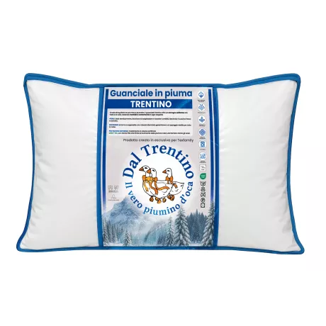 Cortina goose down pillow 50x80 in zip bag, bed pillow 1000g Dal Trentino