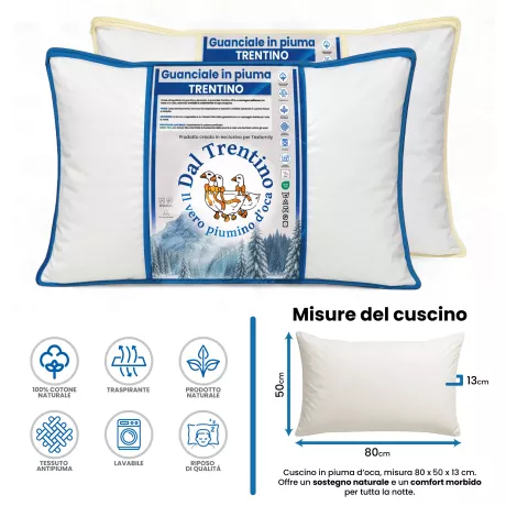 Oreiller en duvet d’oie Cortina 50x80 dans un sac zip, oreiller de lit 1000g Dal Trentino 2