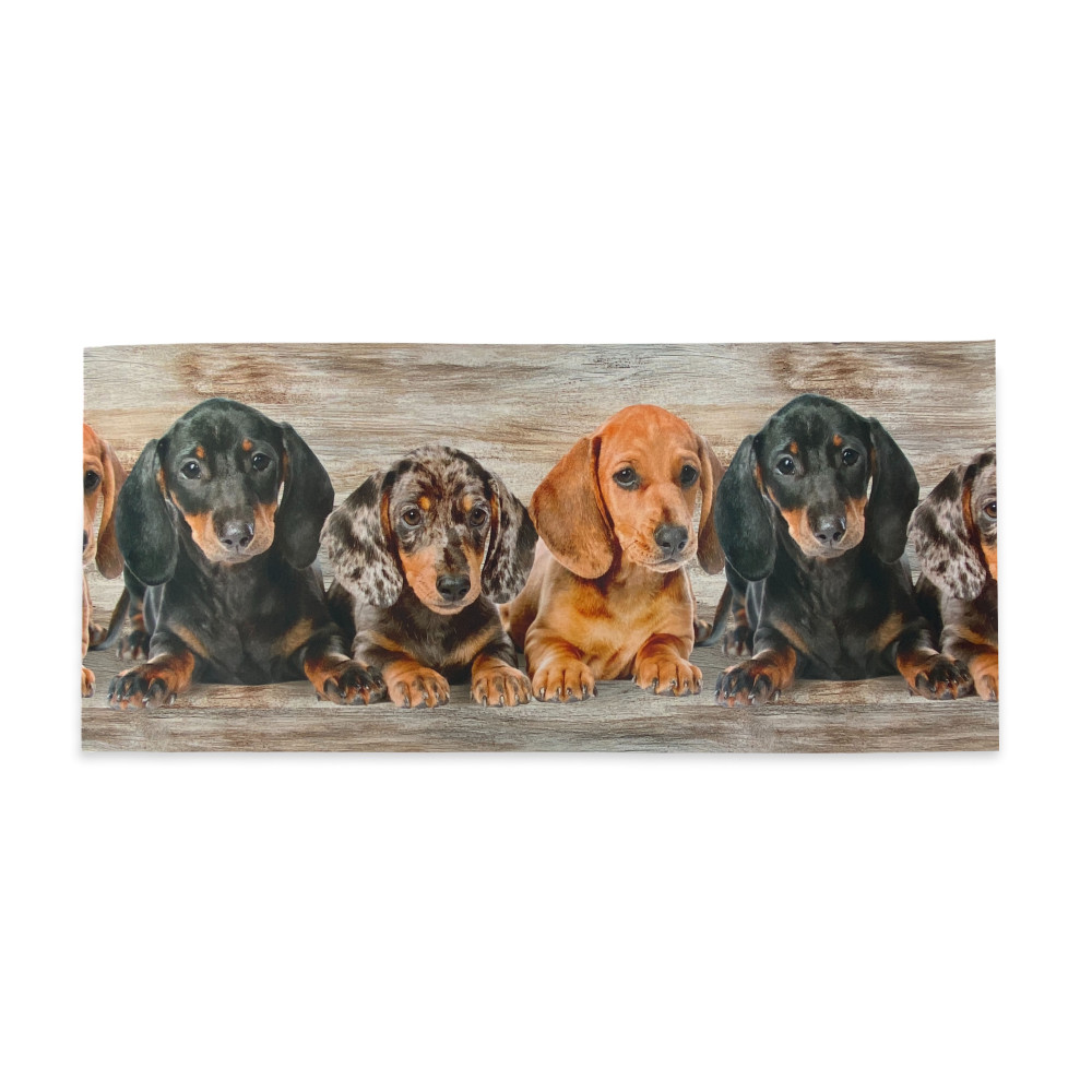 Tapis de cuisine Runner Cuccioli – Tapis de course lavable et antidérapant fabriqué en Italie