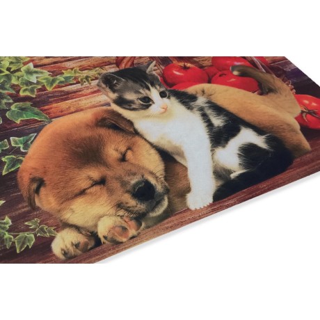 TAPIS PAILLASSON NUMÉRIQUE AMIS CM.40X60 CHIEN CHAT PANIER 2