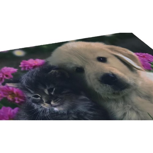 ALFOMBRA FELPUDO DIGITAL FRIENDS CM.40X60 PERRO GATO FLOR