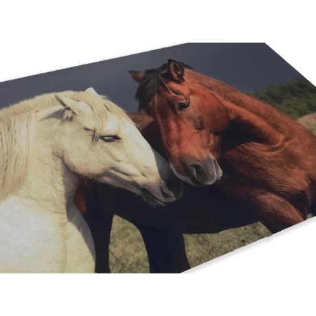 TAPPETO ZERBINO DIGITAL FRIENDS CM.40X60 CAVALLO CAVALLI 2