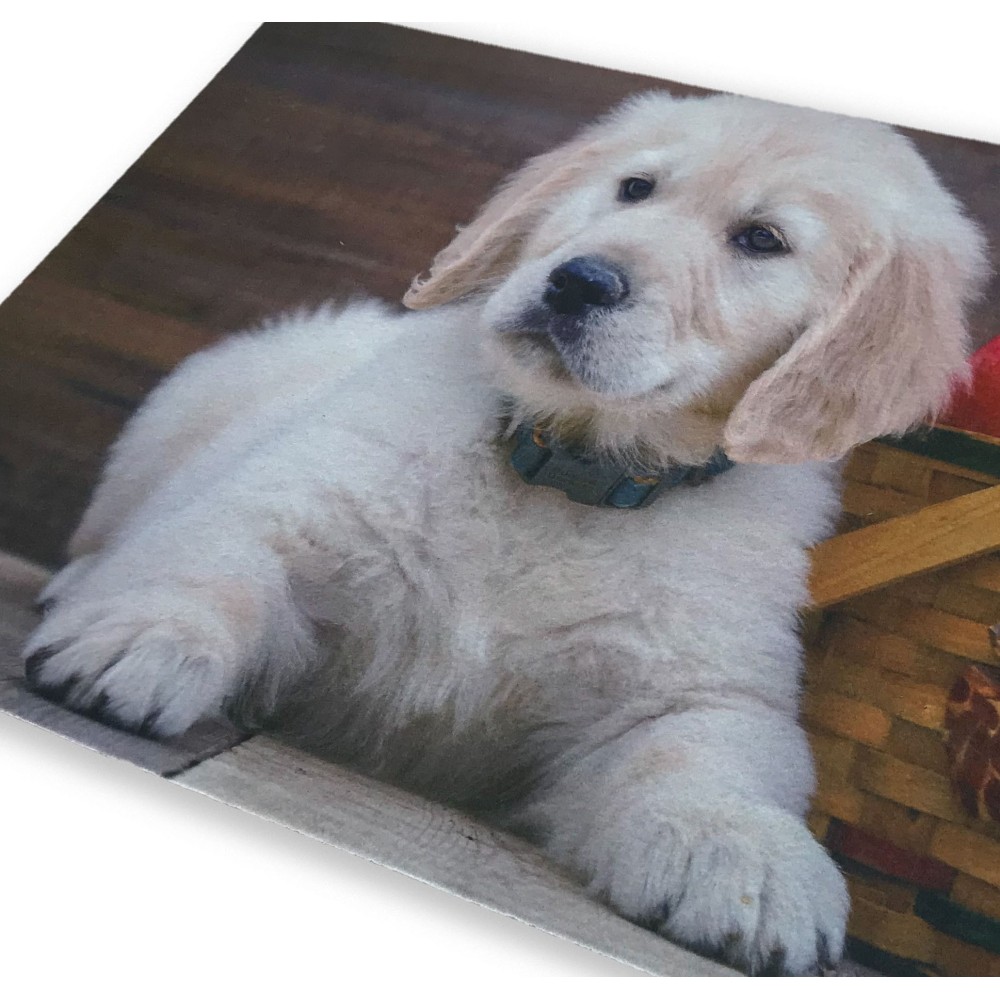 DIGITALER FUSSMATTENTEPPICH CM.40X60 LABRADOR WELPE HUND