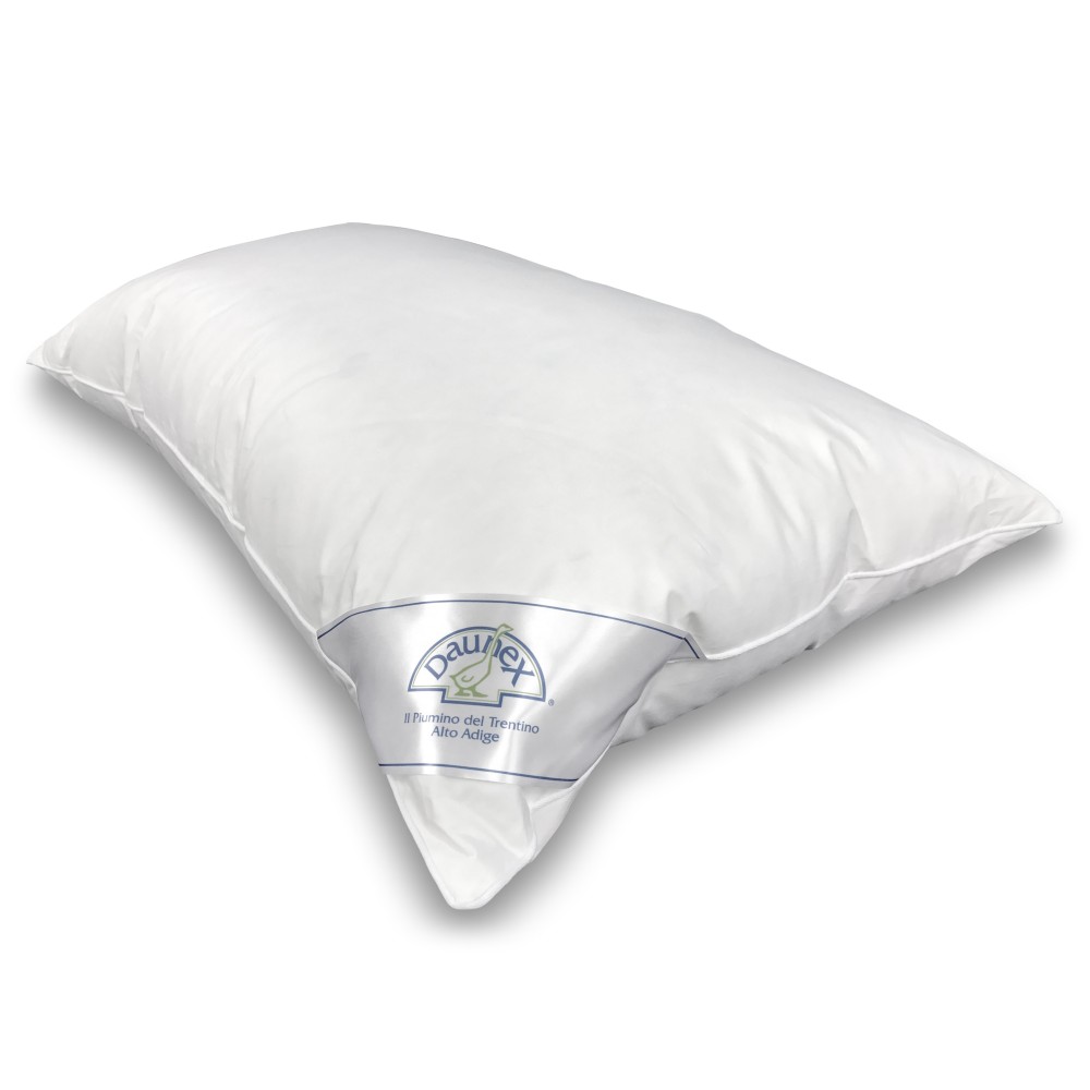 OREILLER EN DUVET D'OIE ISSIMO DAUNEX AVEC COUVERCLE TEXFAMILY MASSAGE