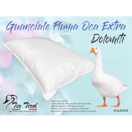 GUANCIALE CUSCINO PIUMA PIUMINO OCA CORTINA DAUNEX 2