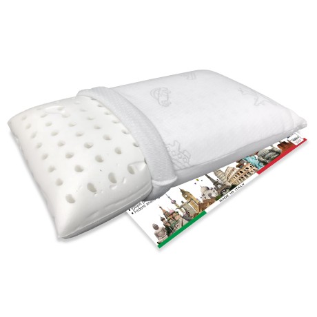 TOMMY PILLOW IN MEMORY TRAVEL 2